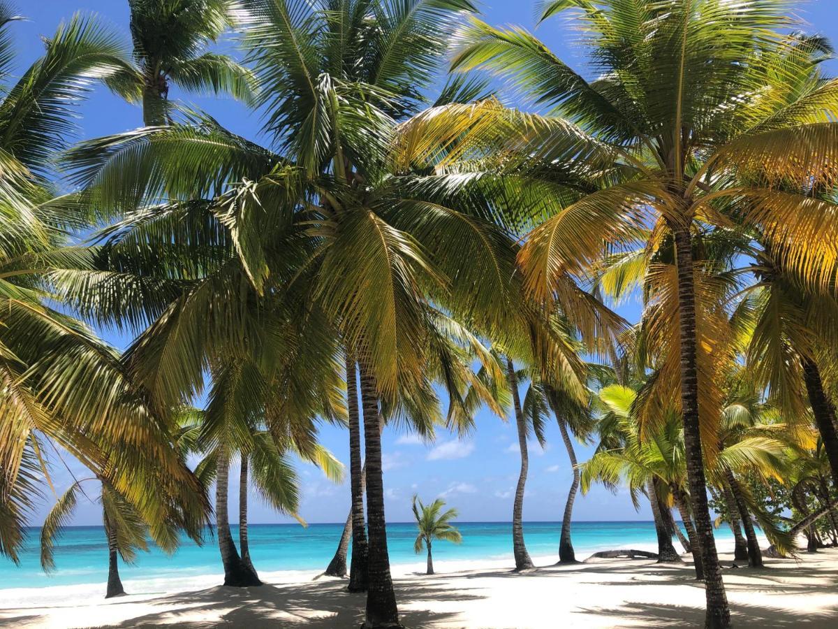 Bayahibe Village Inn 外观 照片