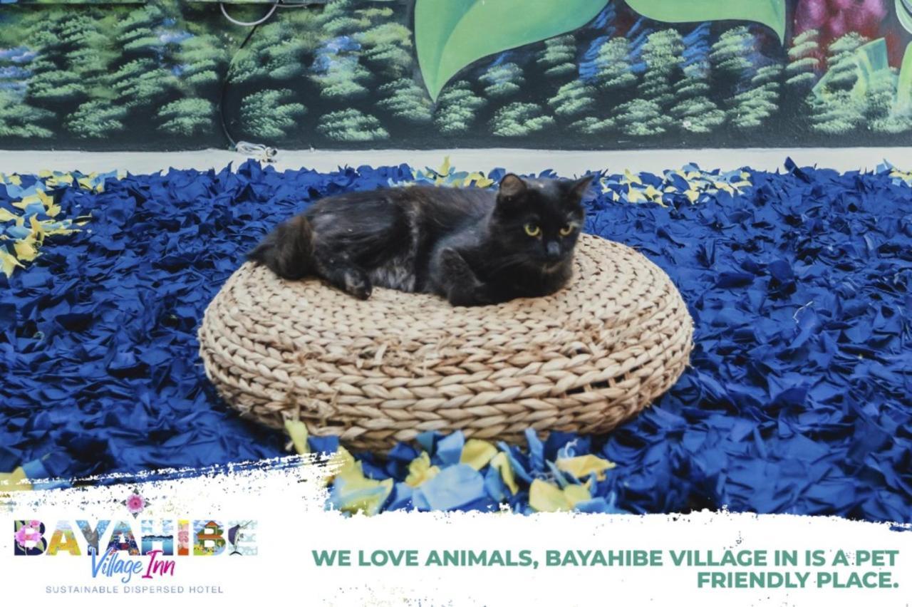 Bayahibe Village Inn 外观 照片